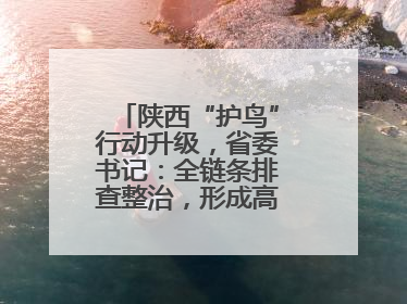 陕西“护鸟”行动升级，省委书记：全链条排查整治，形成高压震慑态势