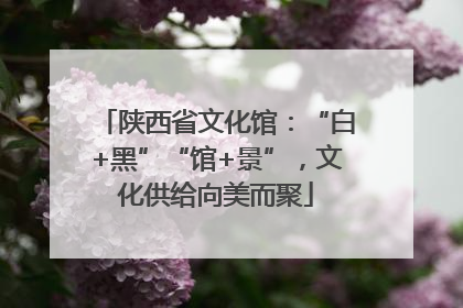 陕西省文化馆：“白+黑”“馆+景”，文化供给向美而聚