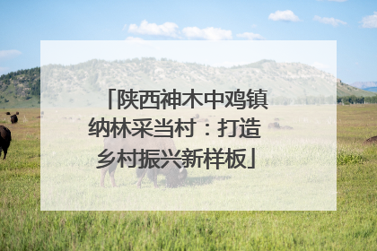 陕西神木中鸡镇纳林采当村：打造乡村振兴新样板