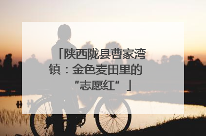 陕西陇县曹家湾镇：金色麦田里的“志愿红”