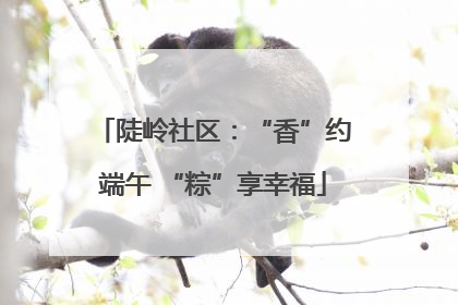 陡岭社区：“香”约端午 “粽”享幸福