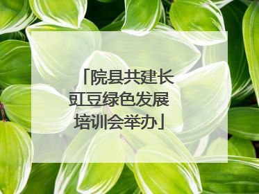 院县共建长豇豆绿色发展培训会举办