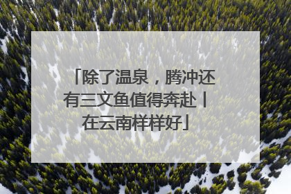 除了温泉，腾冲还有三文鱼值得奔赴丨在云南样样好