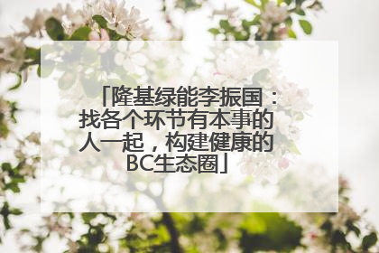隆基绿能李振国：找各个环节有本事的人一起，构建健康的BC生态圈
