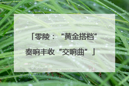 零陵：“黄金搭档”奏响丰收“交响曲”