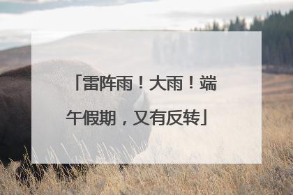 雷阵雨！大雨！端午假期，又有反转