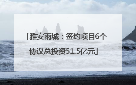 雅安雨城：签约项目6个 协议总投资51.5亿元