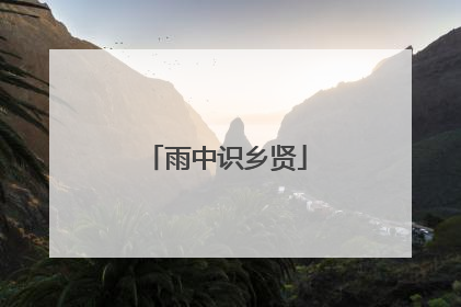 雨中识乡贤