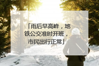 雨后早高峰，地铁公交准时开班，市民出行正常