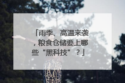 雨季、高温来袭，粮食仓储要上哪些“黑科技”？