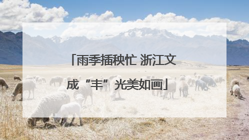 雨季插秧忙 浙江文成“丰”光美如画