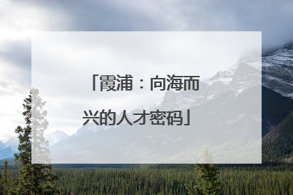 霞浦：向海而兴的人才密码