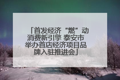 首发经济“燃”动消费新引擎 泰安市举办首店经济项目品牌入驻推进会