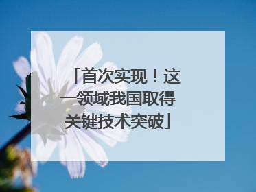 首次实现！这一领域我国取得关键技术突破