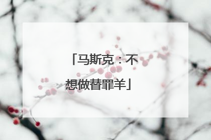 马斯克：不想做替罪羊