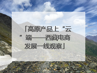 高原产品上“云”端——西藏电商发展一线观察