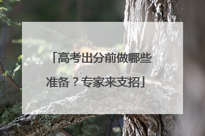 高考出分前做哪些准备？专家来支招