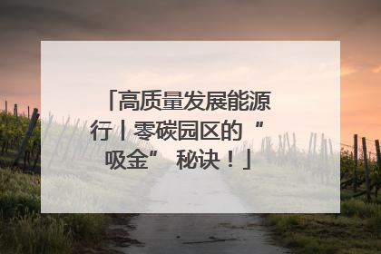 高质量发展能源行丨零碳园区的“吸金” 秘诀！