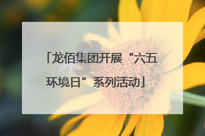 龙佰集团开展“六五环境日”系列活动