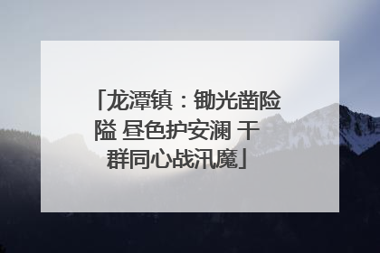 龙潭镇：锄光凿险隘 昼色护安澜 干群同心战汛魔