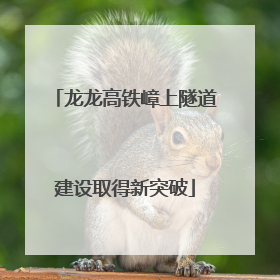 龙龙高铁嶂上隧道建设取得新突破