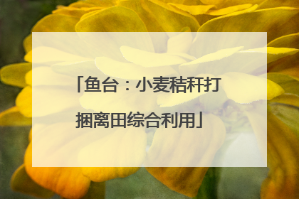 鱼台：小麦秸秆打捆离田综合利用
