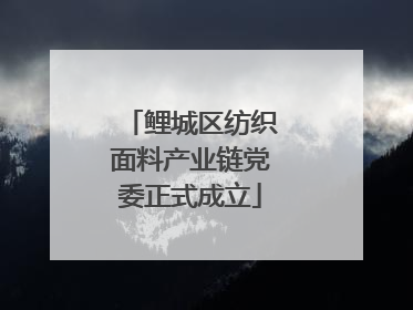 鲤城区纺织面料产业链党委正式成立