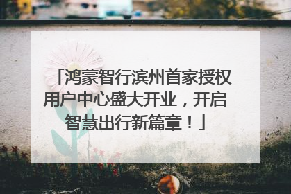 鸿蒙智行滨州首家授权用户中心盛大开业，开启智慧出行新篇章！