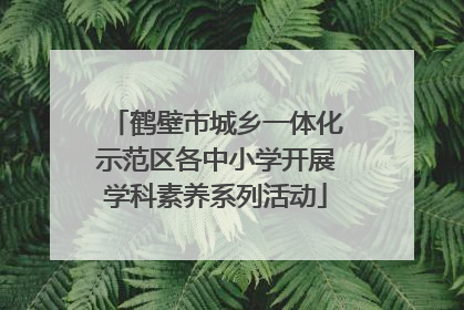 鹤壁市城乡一体化示范区各中小学开展学科素养系列活动