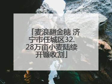 麦浪翻金穗 济宁市任城区32.28万亩小麦陆续开镰收割