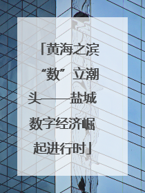 黄海之滨“数”立潮头——盐城数字经济崛起进行时