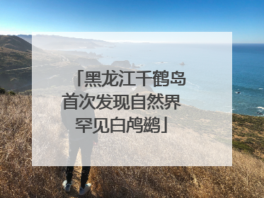 黑龙江千鹤岛首次发现自然界罕见白鸬鹚