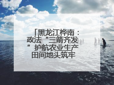 黑龙江桦南：政法“三箭齐发”护航农业生产 田间地头筑牢平安建设防线