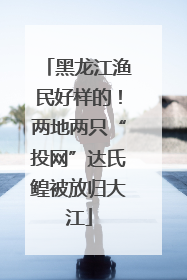 黑龙江渔民好样的！两地两只“投网”达氏鳇被放归大江