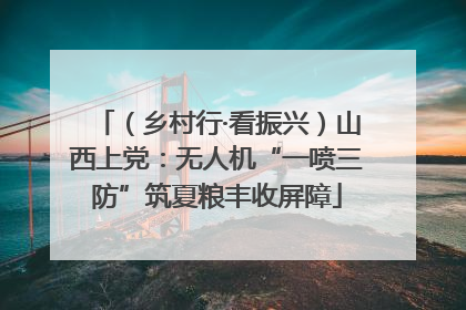 （乡村行·看振兴）山西上党：无人机“一喷三防”筑夏粮丰收屏障