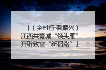 （乡村行·看振兴）江西共青城“领头雁”开辟致富“新稻路”