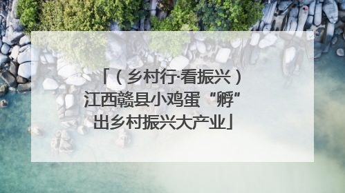 （乡村行·看振兴）江西赣县小鸡蛋“孵”出乡村振兴大产业