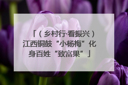 （乡村行·看振兴）江西铜鼓“小杨梅”化身百姓“致富果”