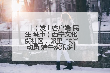 （发！客户端 民生 城事）西宁文化街社区：邻里“粽”动员 端午欢乐多