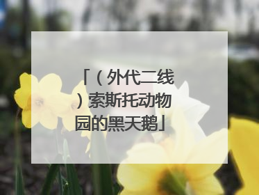 （外代二线）索斯托动物园的黑天鹅