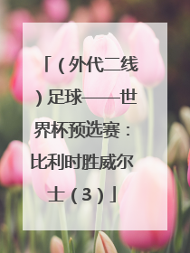 （外代二线）足球——世界杯预选赛：比利时胜威尔士（3）