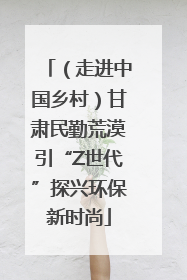 （走进中国乡村）甘肃民勤荒漠引“Z世代”探兴环保新时尚