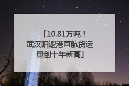 10.81万吨！武汉阳逻港直航货运量创十年新高