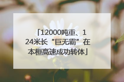 12000吨重、124米长“巨无霸”在本桓高速成功转体