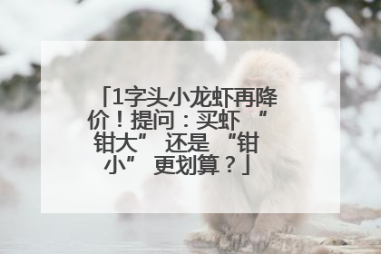 1字头小龙虾再降价！提问：买虾 “钳大” 还是 “钳小” 更划算？