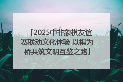 2025中非象棋友谊赛联动文化体验 以棋为桥共筑文明互鉴之路