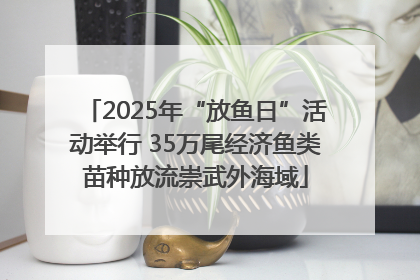 2025年“放鱼日”活动举行 35万尾经济鱼类苗种放流崇武外海域