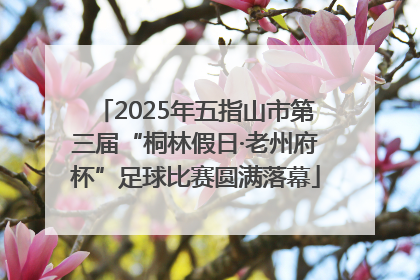 2025年五指山市第三届“桐林假日·老州府杯”足球比赛圆满落幕