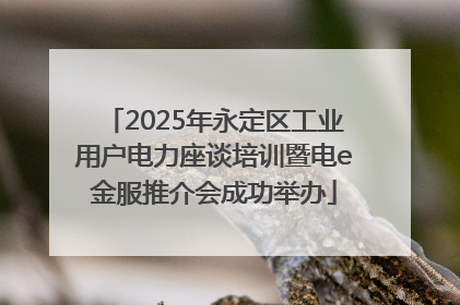 2025年永定区工业用户电力座谈培训暨电e金服推介会成功举办