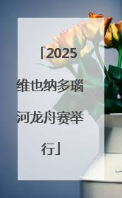 2025维也纳多瑙河龙舟赛举行